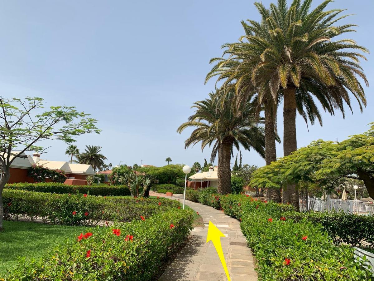 Flamboyant Tree Garden Holiday Home Maspalomas  Dış mekan fotoğraf